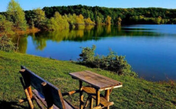 Bektaşağa Göleti Sinop Park Yıldız Tesisleri