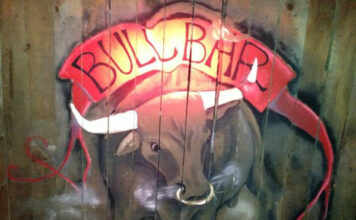 Bull Bar