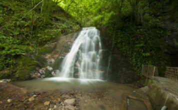 Gölcük Şelale Alabalık