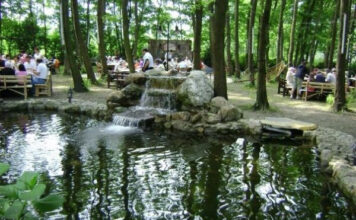 Maşukiye Cansu Alabalık Tesisleri