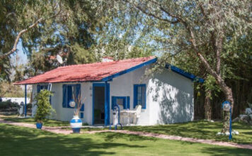 Mavi Zeytin Kahvaltı Bahçesi