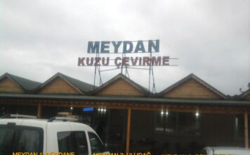 Meydan Kuzu Çevirme