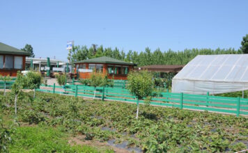 Midilli Cafe Restaurant