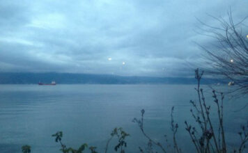 Mobidik Balık Restaurant