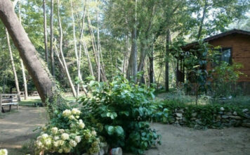 Naturland Piknik Alanı