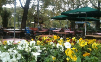 Özgen Çay Bahçesi