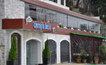 Therapia Balık
