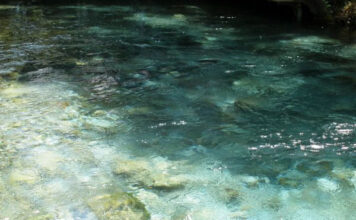 Topgözü Pınar Restaurant