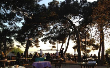 Çamlık Cafe Küçükyalı