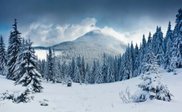 ILGAZ DAĞI MİLLİ PARKI / KASTAMONU-ÇANKIRI