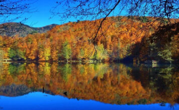 YEDİGÖLLER MİLLİ PARKI / BOLU