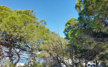 Altın Kamp – Burhaniye